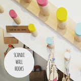 Scandi Chunky Wooden Hook: bright paint dipped detail
